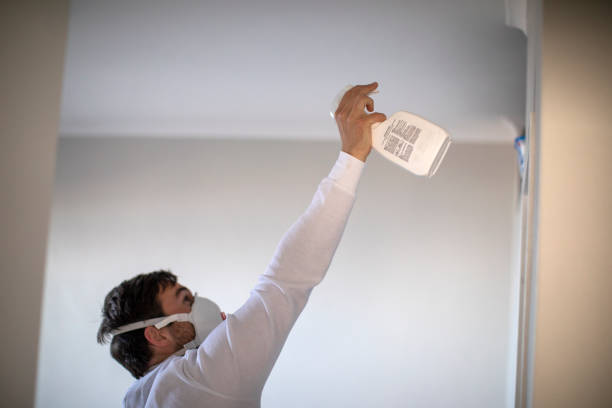 Best Certified Mold Removal  in Delshire, OH