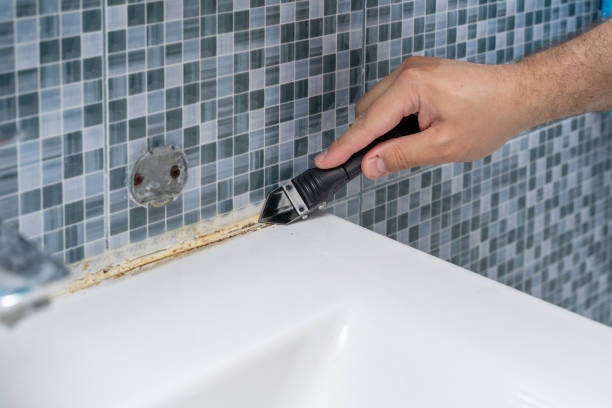 Best Mold Testing  in Delshire, OH